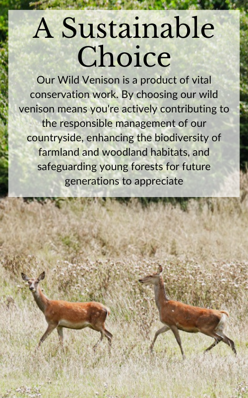 An image of two wild Deere, showing how Beacon Farms on source their venison from Wild animals. There is text that explains the sourcing of wild animals is not only better for the quality of meat, but is also a part of a vital conservation effort to protect farmland and woodland habitats.