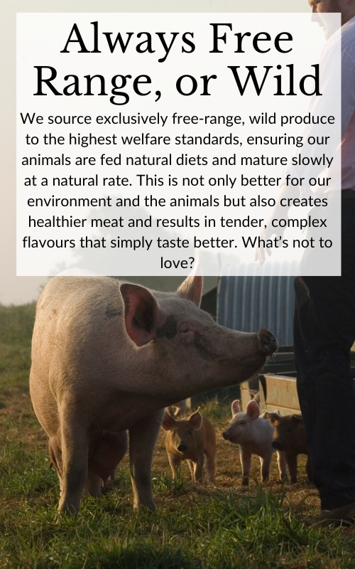 Beacon Farms