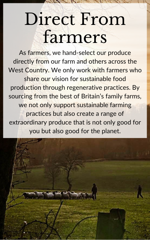Beacon Farms