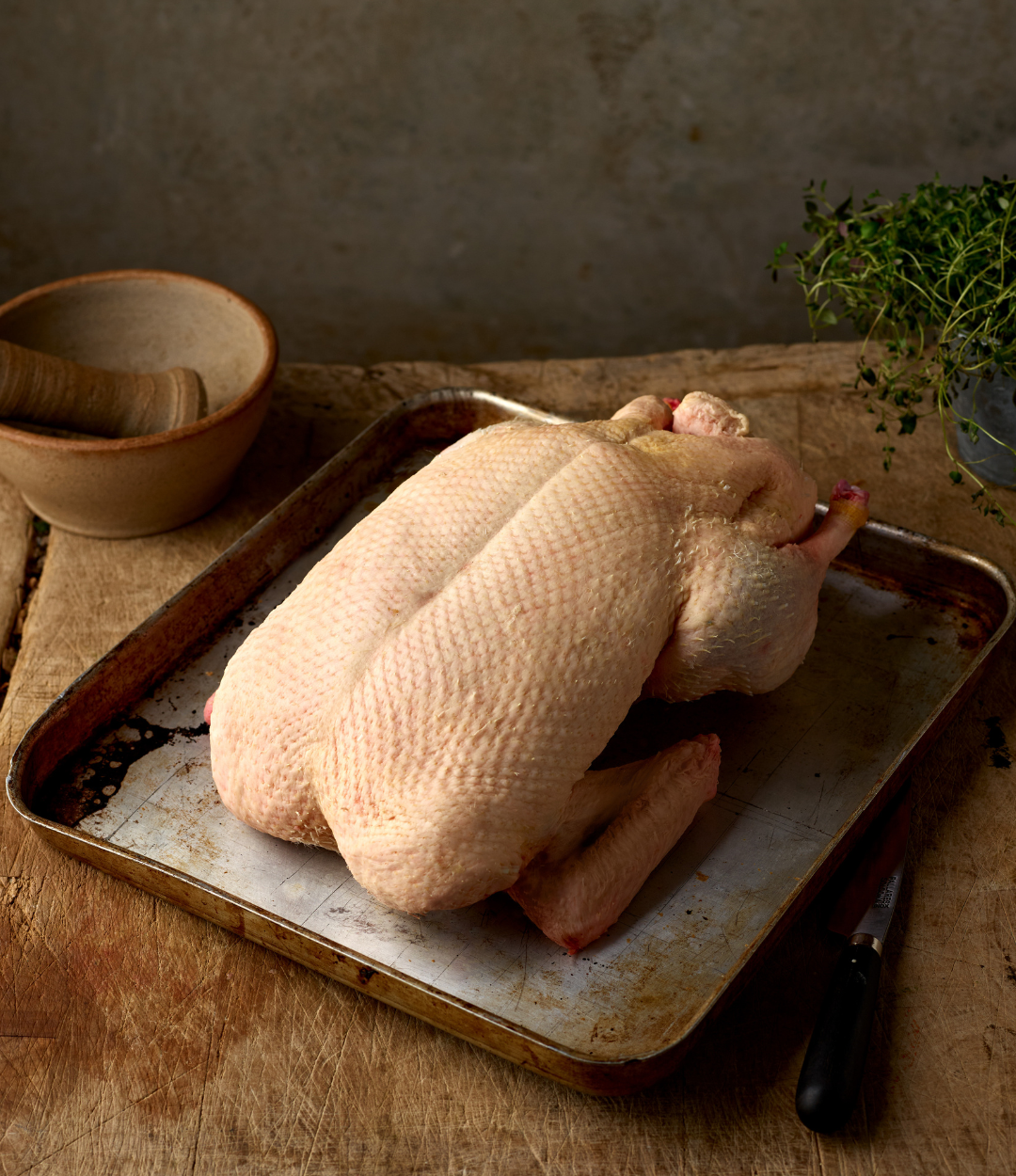 Free Range Duck
