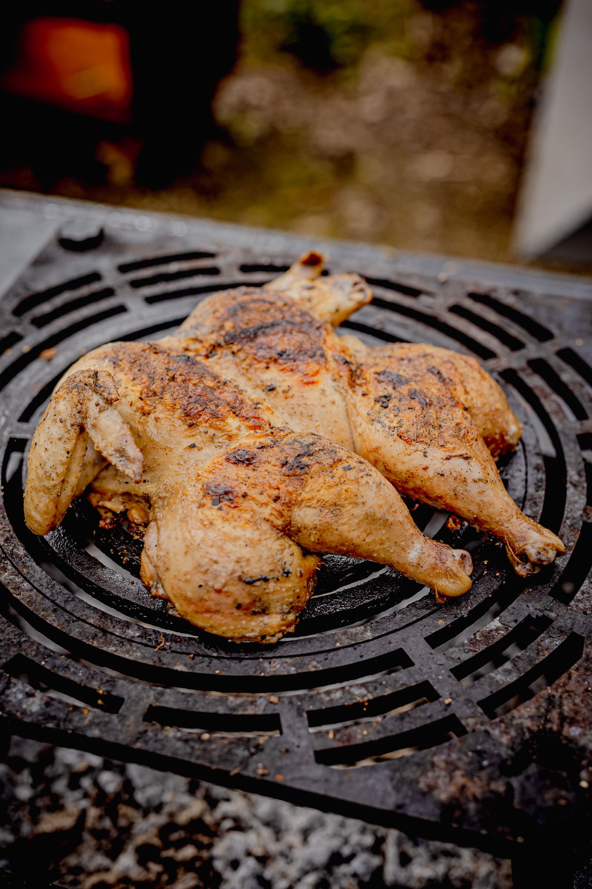 Free Range Spatchcock Chicken