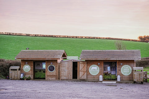 South Devon Dairy Milkshake