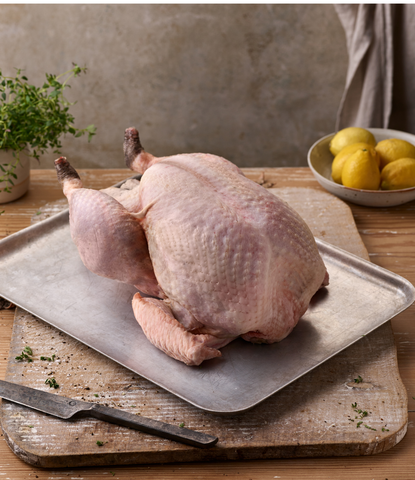 Free Range Bronze Turkey